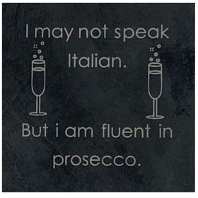 Fluent in Prosecco - Slate Prosecco Coaster