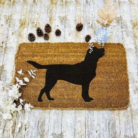 Dog Door Mat