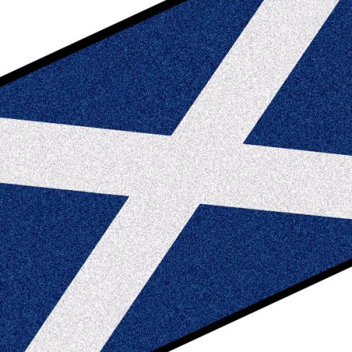 60cm x 40cm Scottish Flag Pattern Coir Front Door Mat
